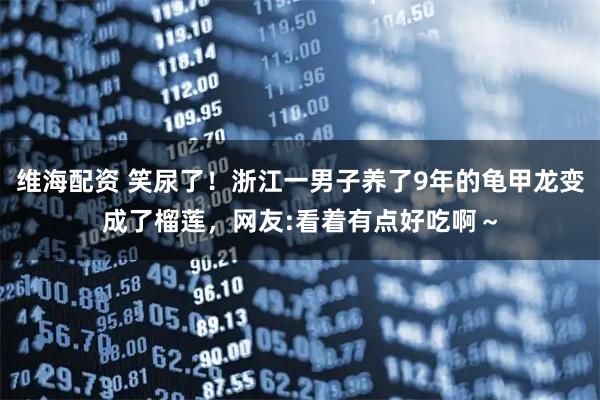 维海配资 笑尿了！浙江一男子养了9年的龟甲龙变成了榴莲，网友:看着有点好吃啊～