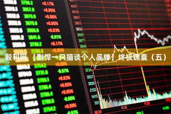 股利网 【剽悍一只猫谈个人品牌】终极锦囊（五）