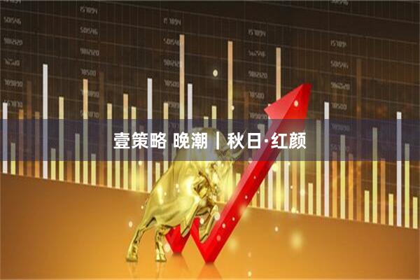 壹策略 晚潮｜秋日·红颜