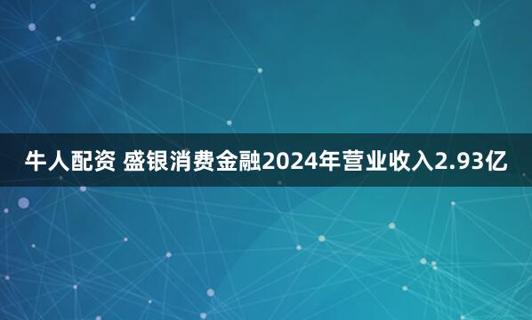 牛人配资 盛银消费金融2024年营业收入2.93亿