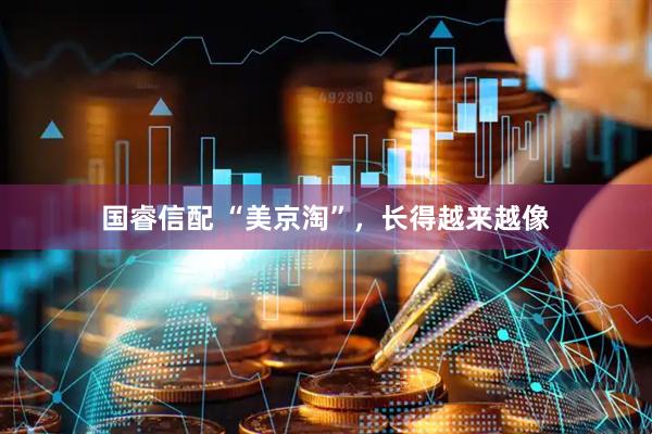 国睿信配 “美京淘”，长得越来越像