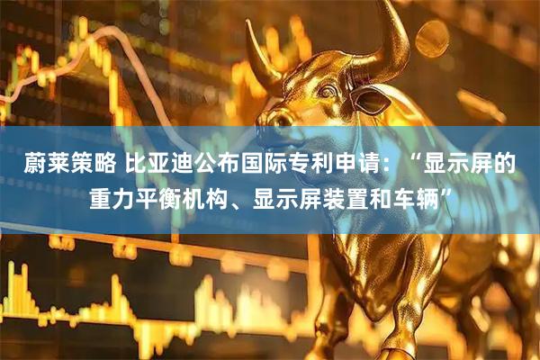 蔚莱策略 比亚迪公布国际专利申请：“显示屏的重力平衡机构、显示屏装置和车辆”