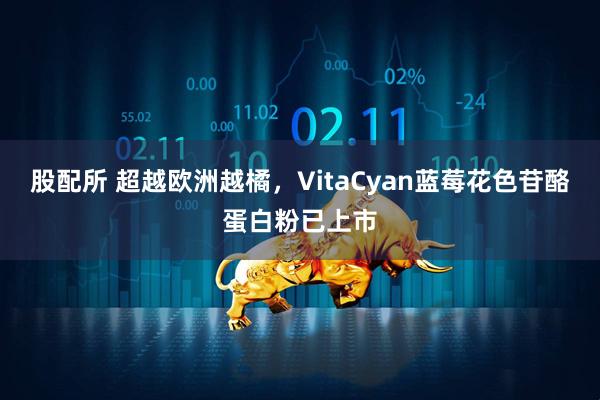 股配所 超越欧洲越橘,VitaCyan蓝莓花色苷酪蛋白粉已上市