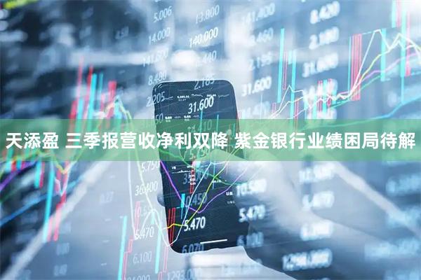 天添盈 三季报营收净利双降 紫金银行业绩困局待解