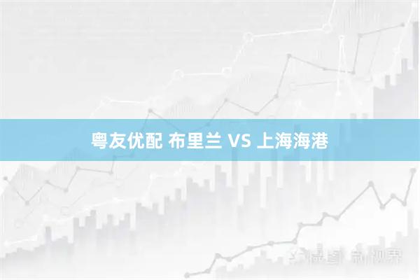 粤友优配 布里兰 VS 上海海港